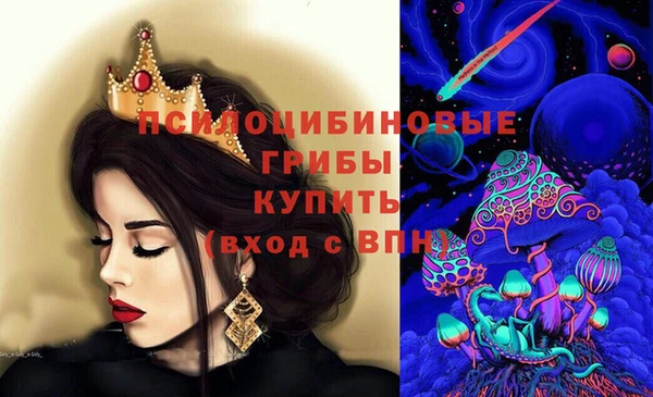 хмурый Алексеевка